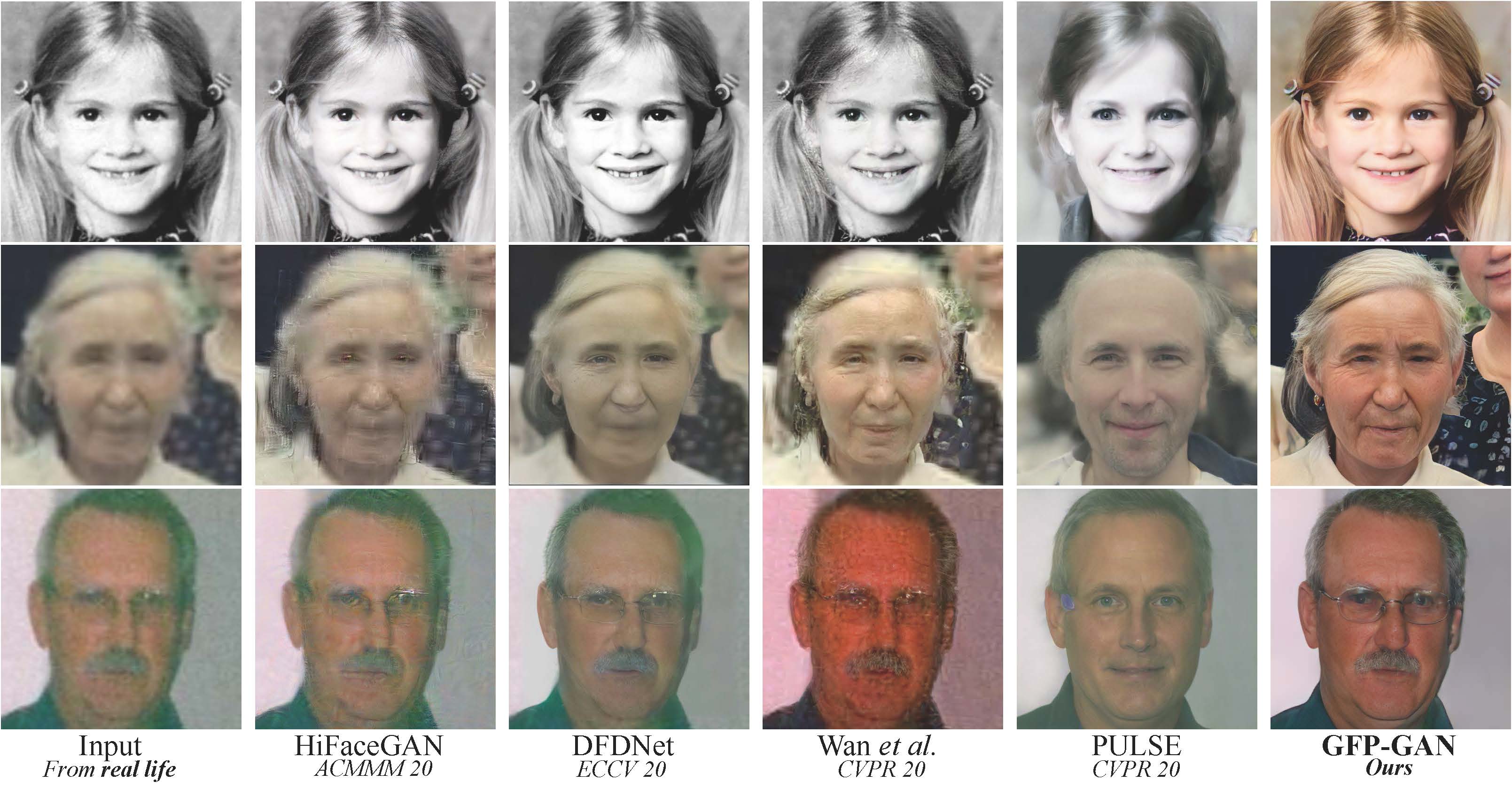 face restoration image